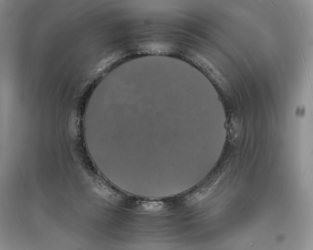 X0000094060355200711091134