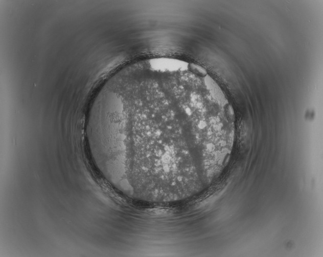 X0000094060356200711091134