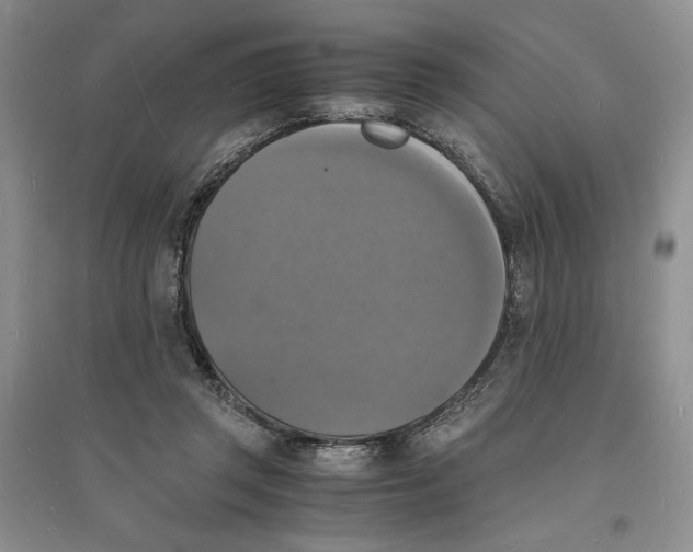 X0000094060357200711091134