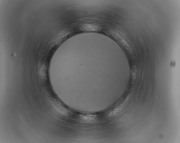 X0000094060359200711091134