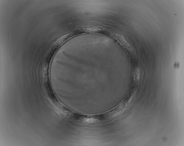 X0000094060360200711091134
