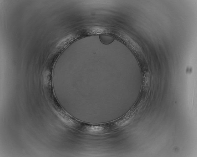X0000094060361200711091134