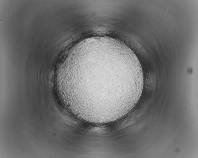 X0000094060364200711091134