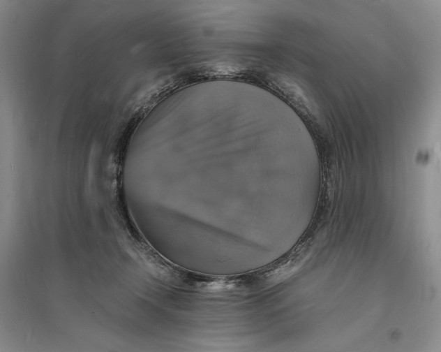 X0000094060366200711091134