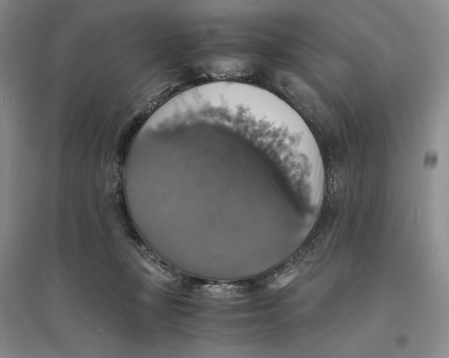 X0000094060367200711091134