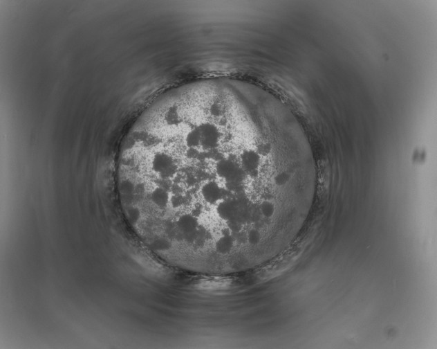 X0000094060369200711091134