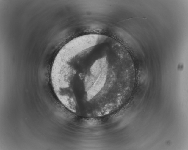 X0000094060370200711091134