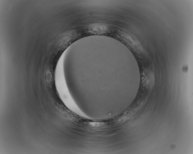 X0000094060371200711091134