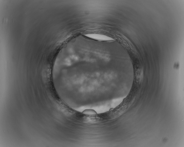 X0000094060372200711091134