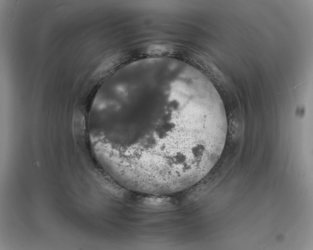 X0000094060375200711091134