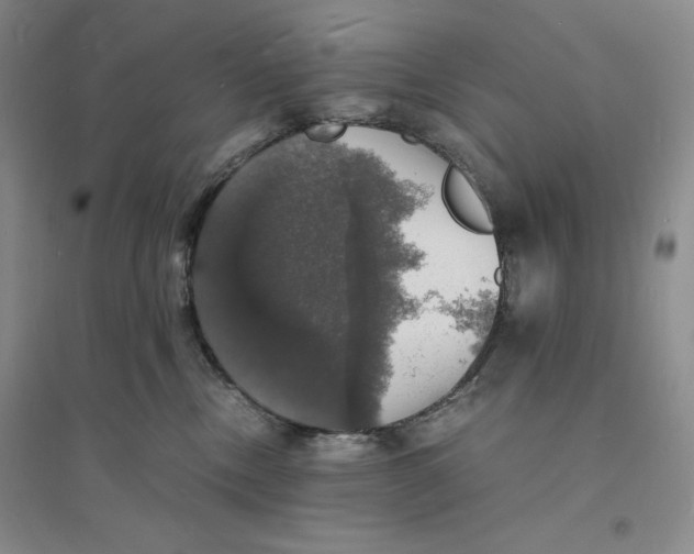 X0000094060378200711091134