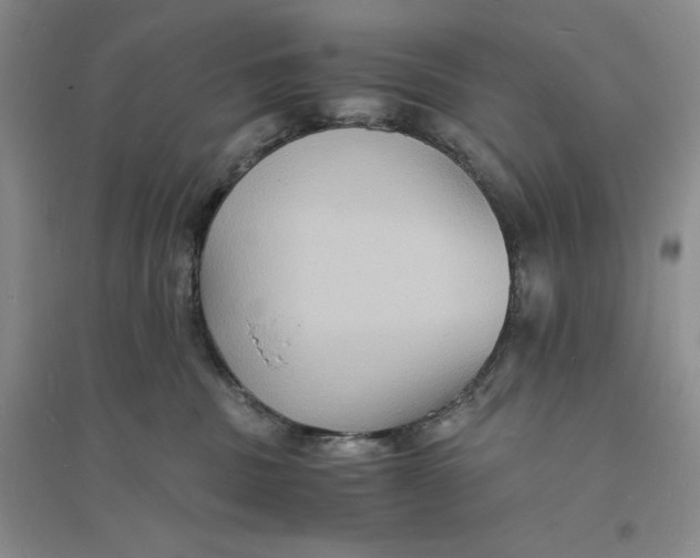 X0000094060379200711091134