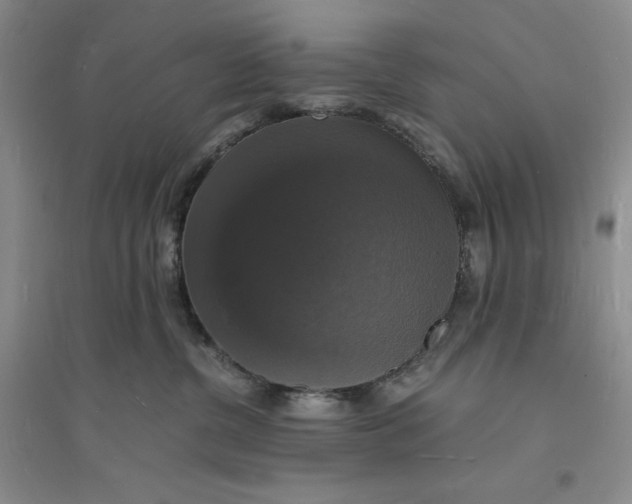 X0000094060380200711091134