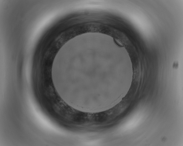 X0000094060383200711091134