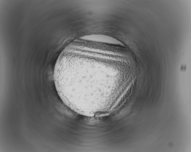 X0000094060384200711091134