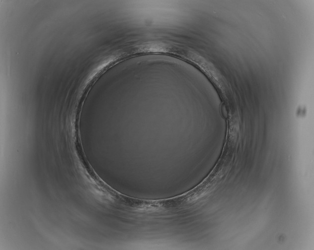 X0000094060386200711091133
