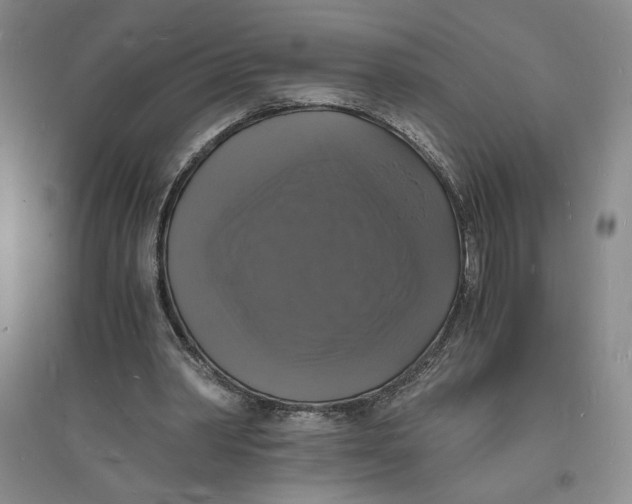 X0000094060390200711091133