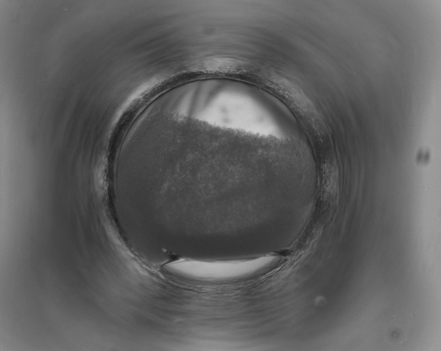 X0000094060392200711091133