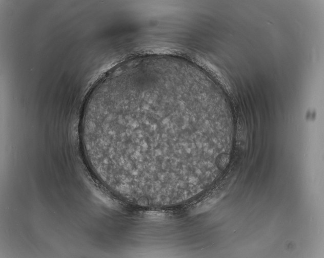 X0000094060394200711091133