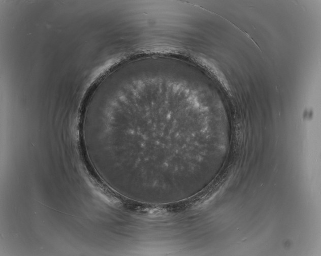 X0000094060395200711091133