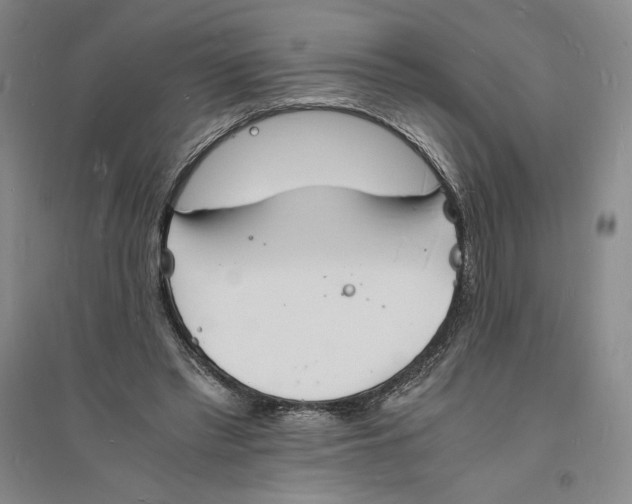 X0000094060397200711091133