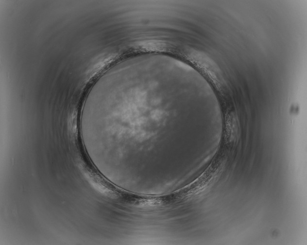 X0000094060398200711091133