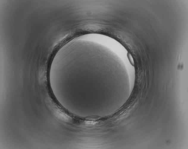 X0000094060399200711091133