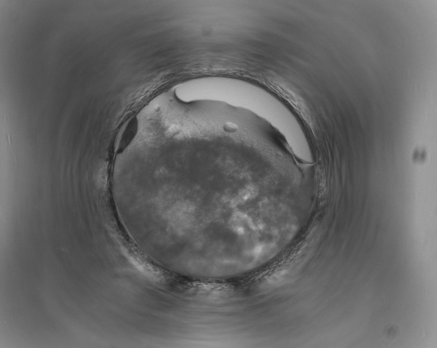 X0000094060401200711091133