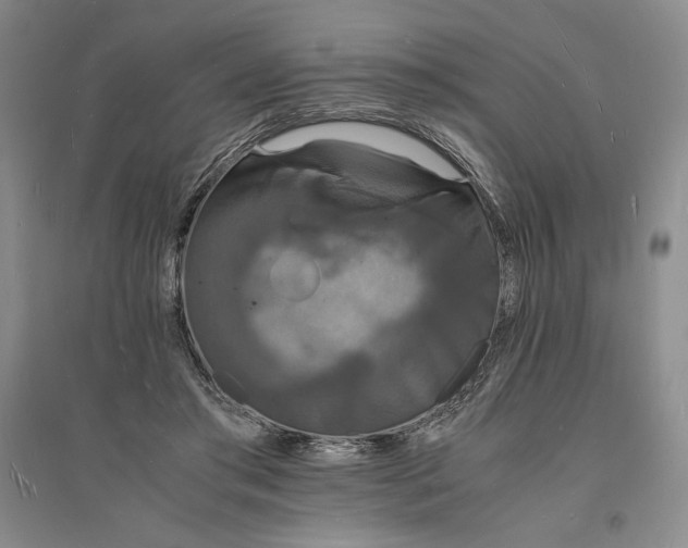 X0000094060405200711091133