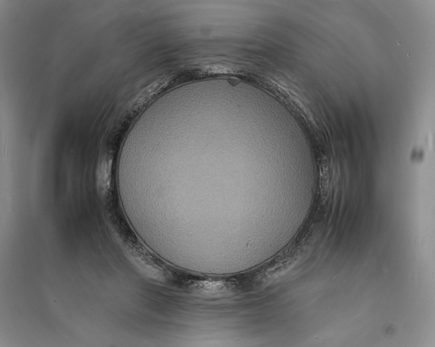 X0000094060406200711091133