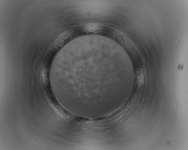 X0000094060408200711091133