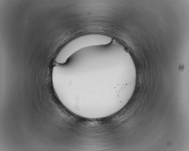 X0000094060411200711091133