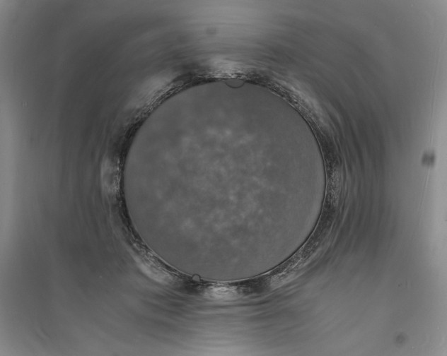 X0000094060413200711091133