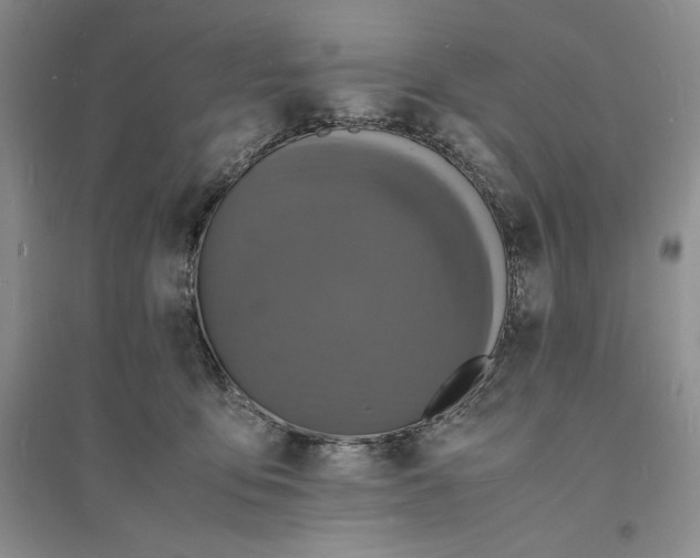 X0000094060419200711091133