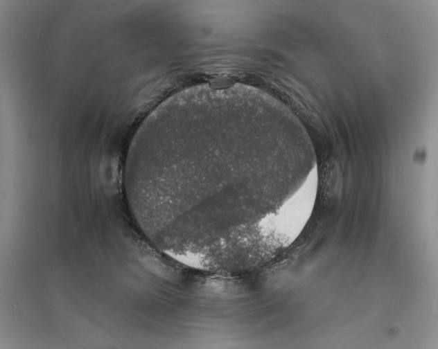 X0000094060420200711091133