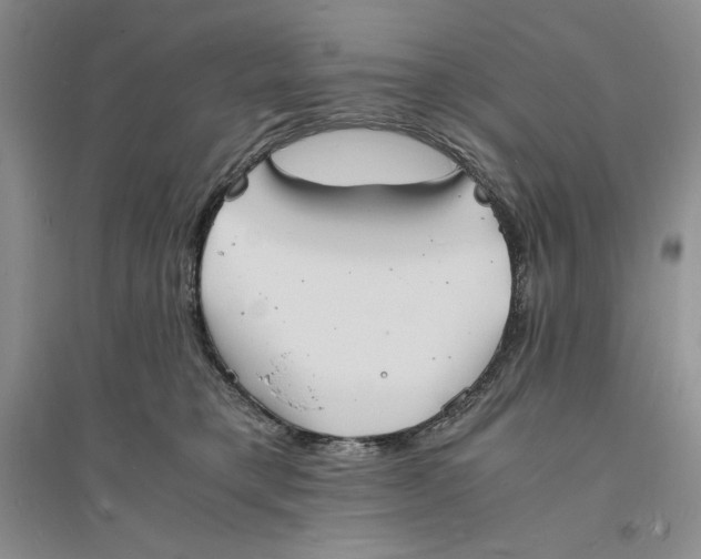 X0000094060421200711091133