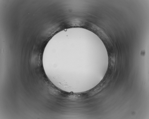 X0000094060422200711091133