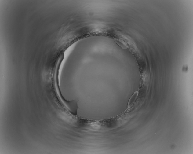 X0000094060423200711091133