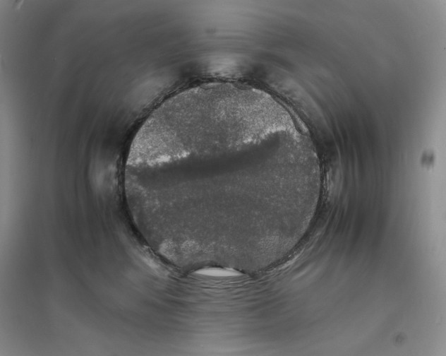 X0000094060424200711091133