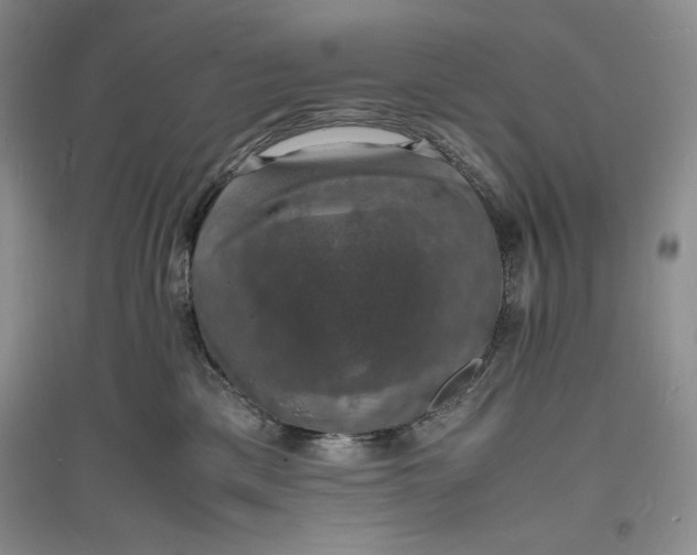 X0000094060425200711091133