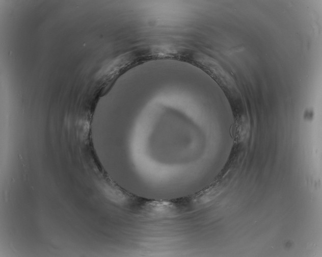 X0000094060427200711091133