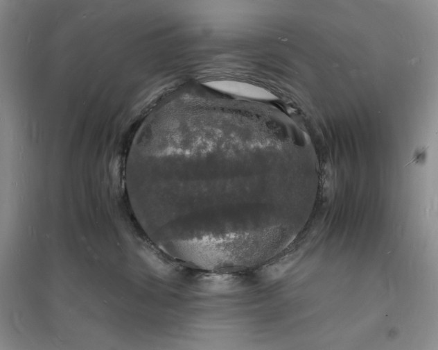 X0000094060428200711091133