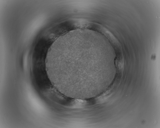 X0000094060429200711091133