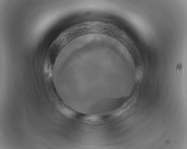 X0000094060431200711091133