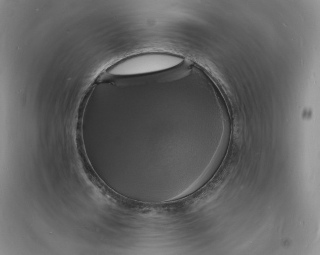 X0000094060434200711091132