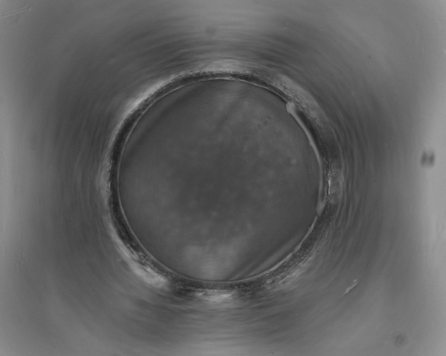 X0000094060436200711091132