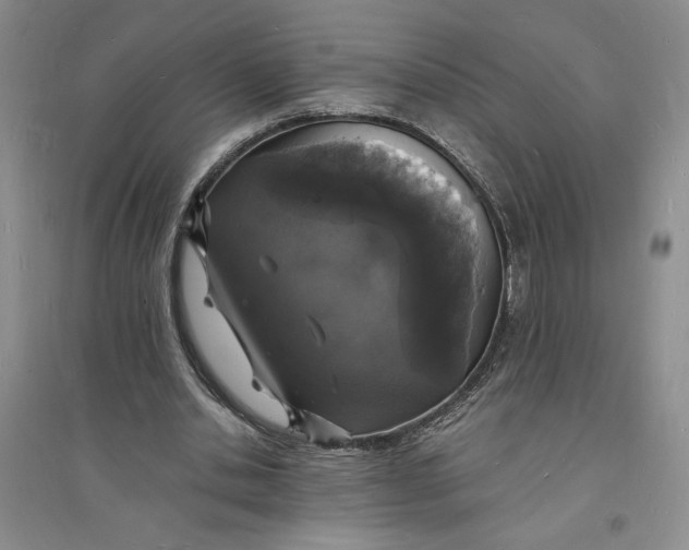X0000094060438200711091132