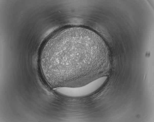 X0000094060440200711091132