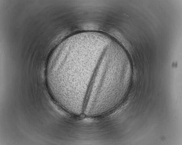 X0000094060441200711091132