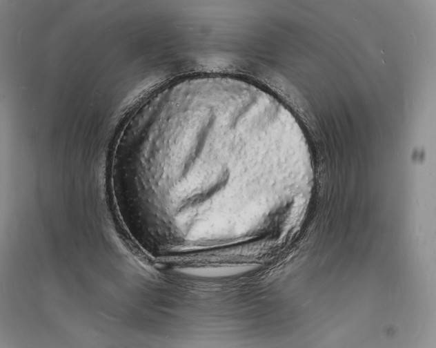 X0000094060442200711091132